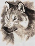 (image for) Winter Watcher